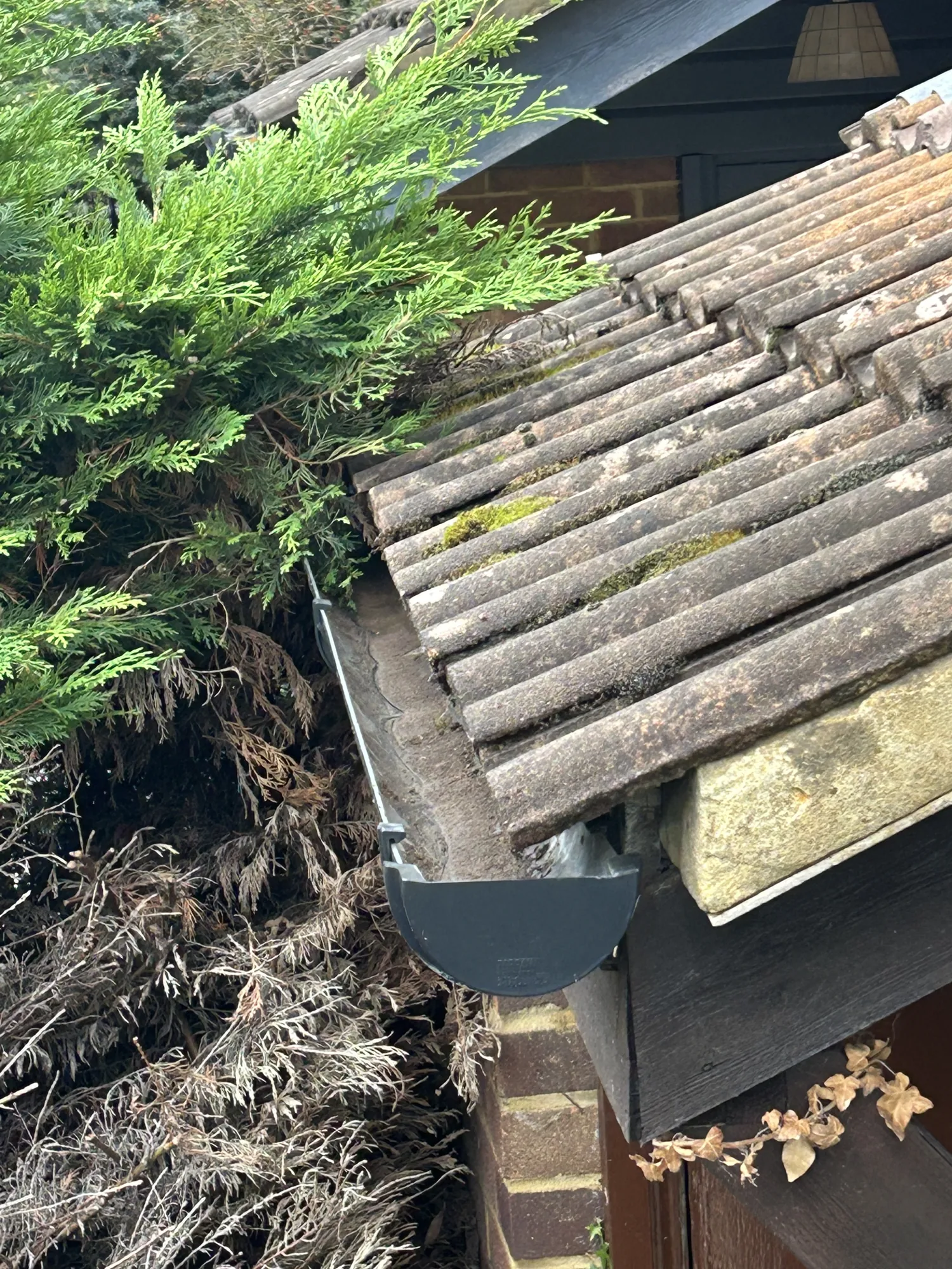How Often Should You Clean Your Gutters?