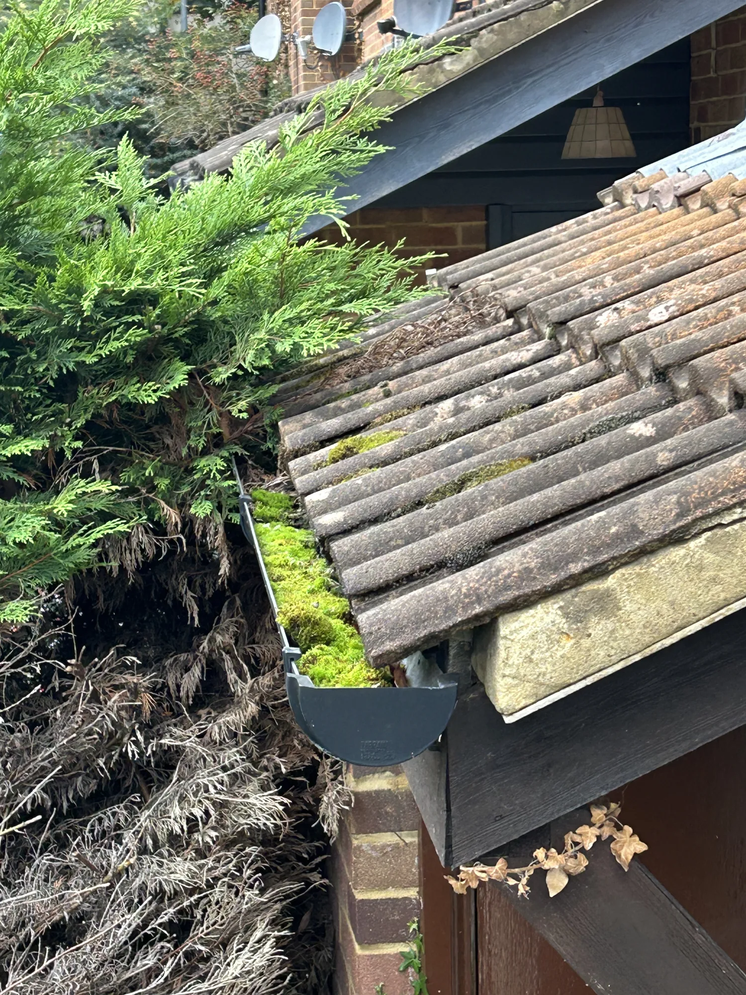 Blocked gutter with moss growth beside a tiled roof in Hertfordshire
