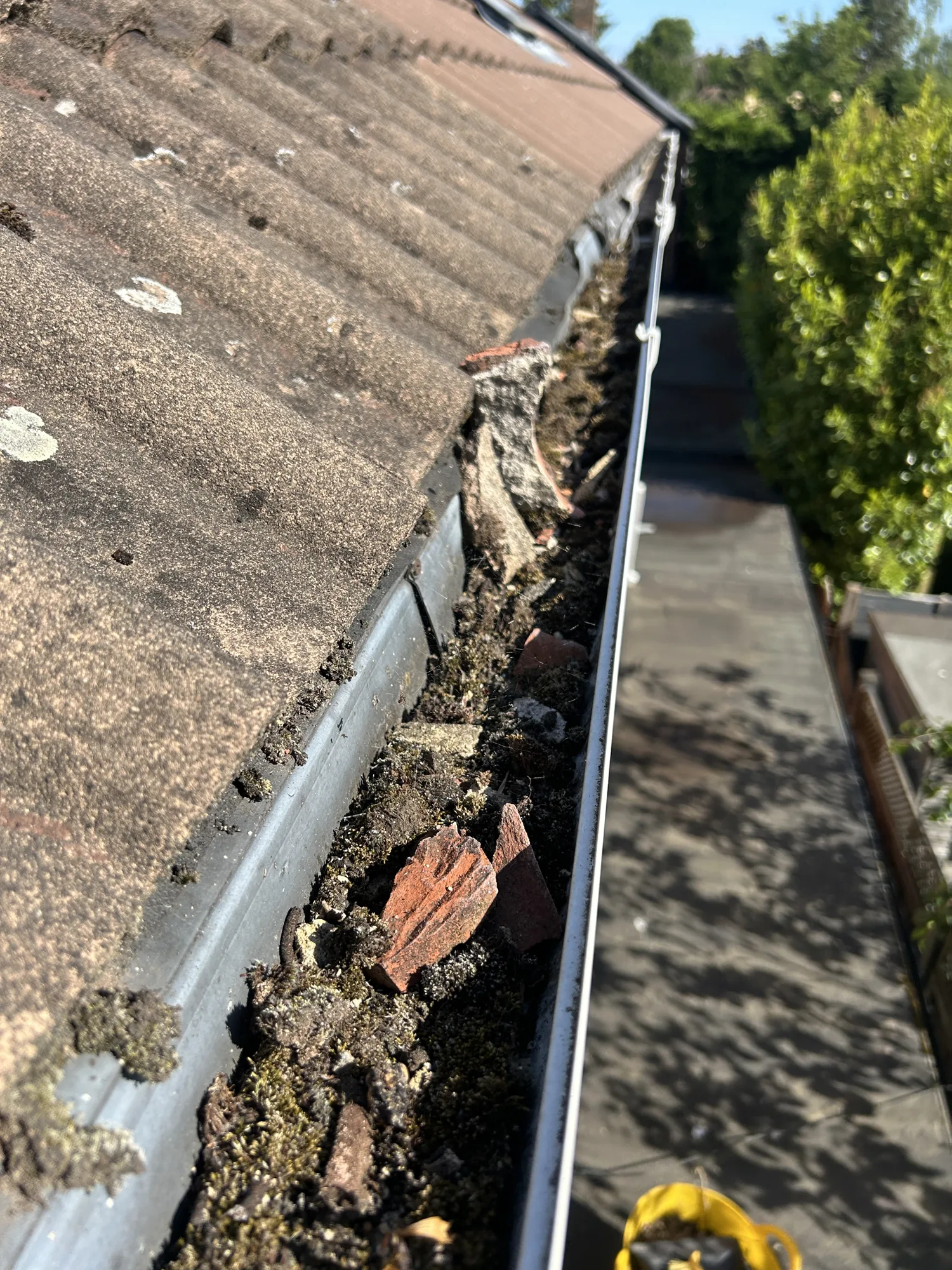 Gutter Clearing