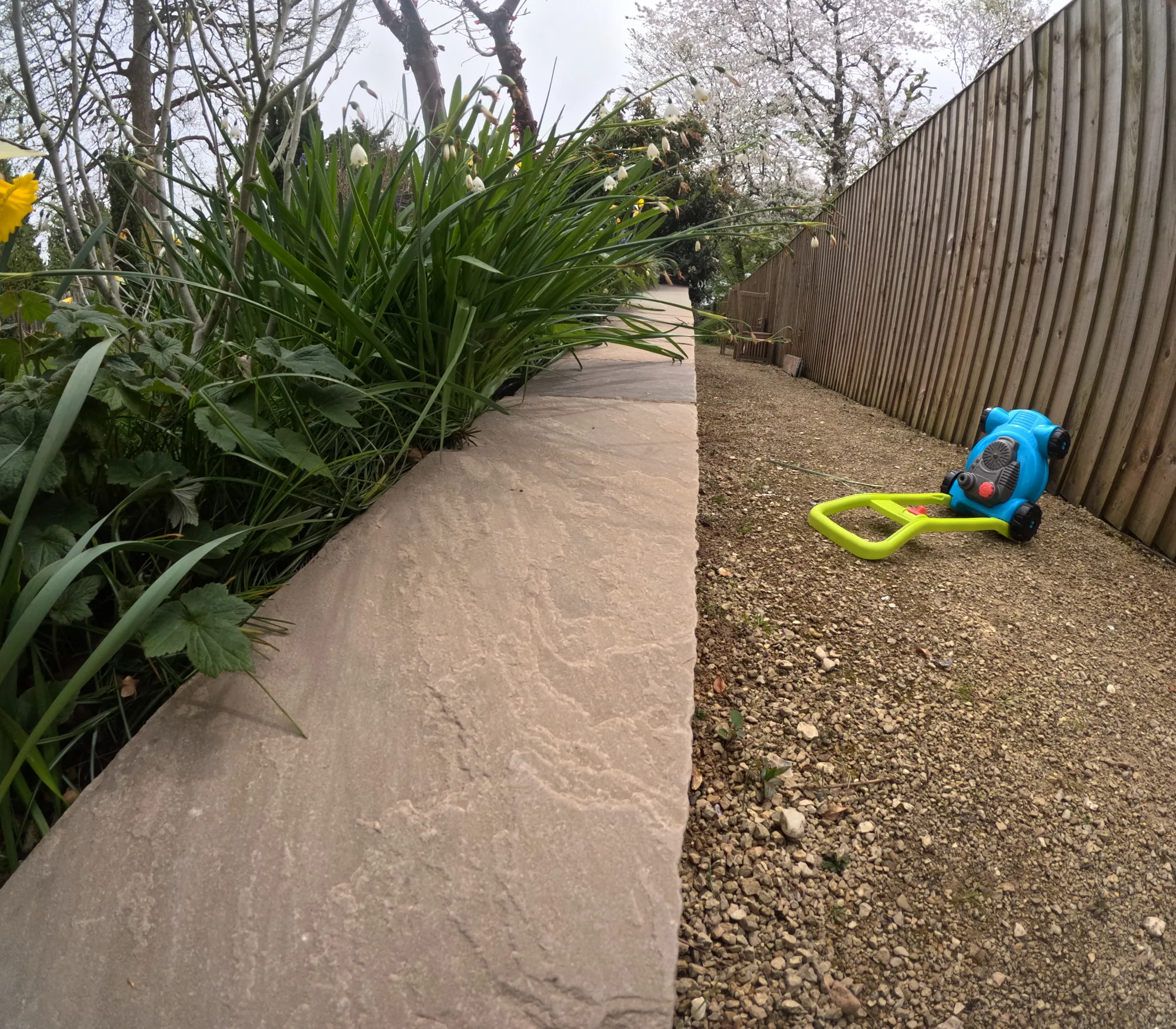Cleaned sandstone path edging in a garden