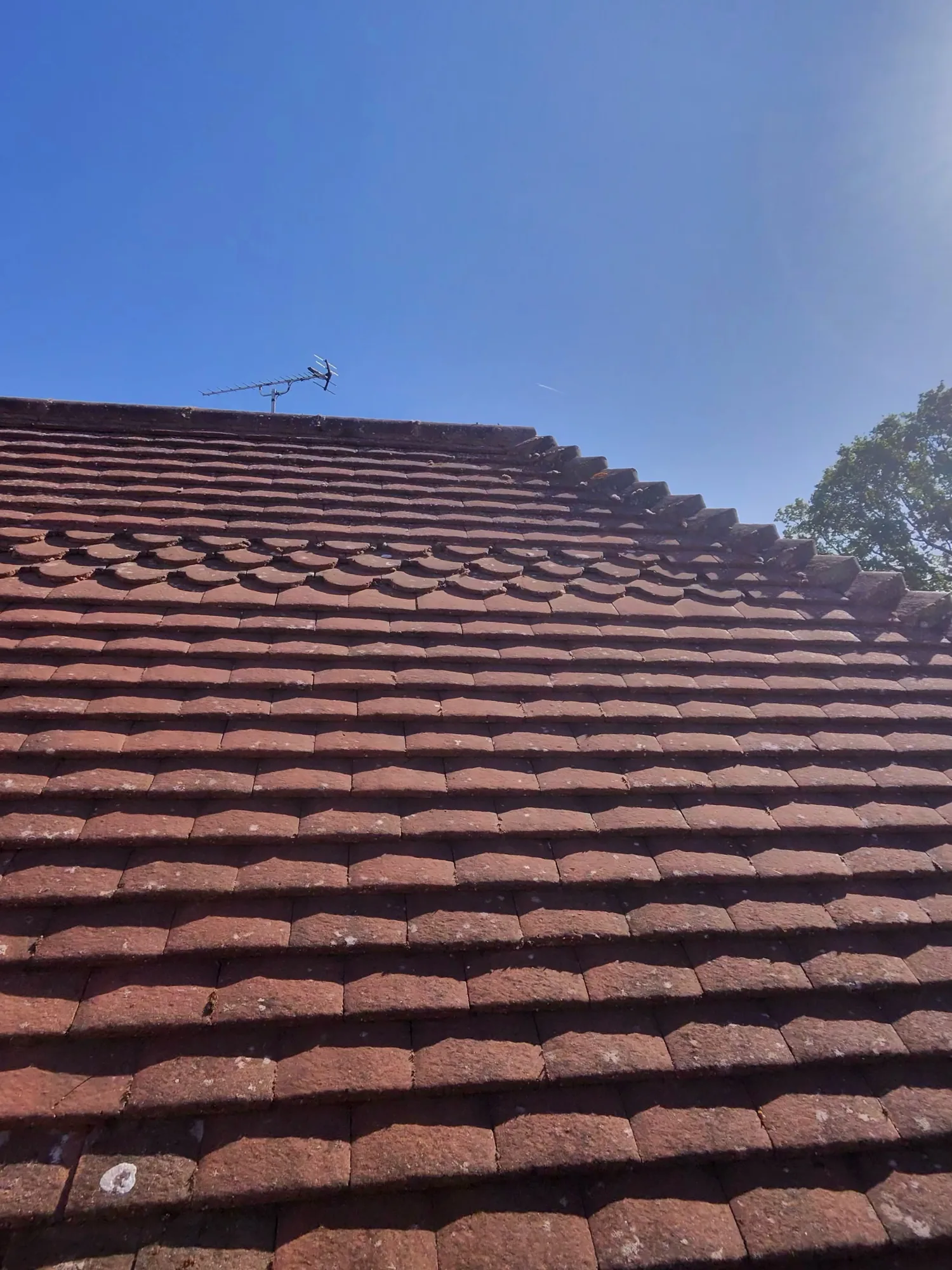 Roof Cleaning