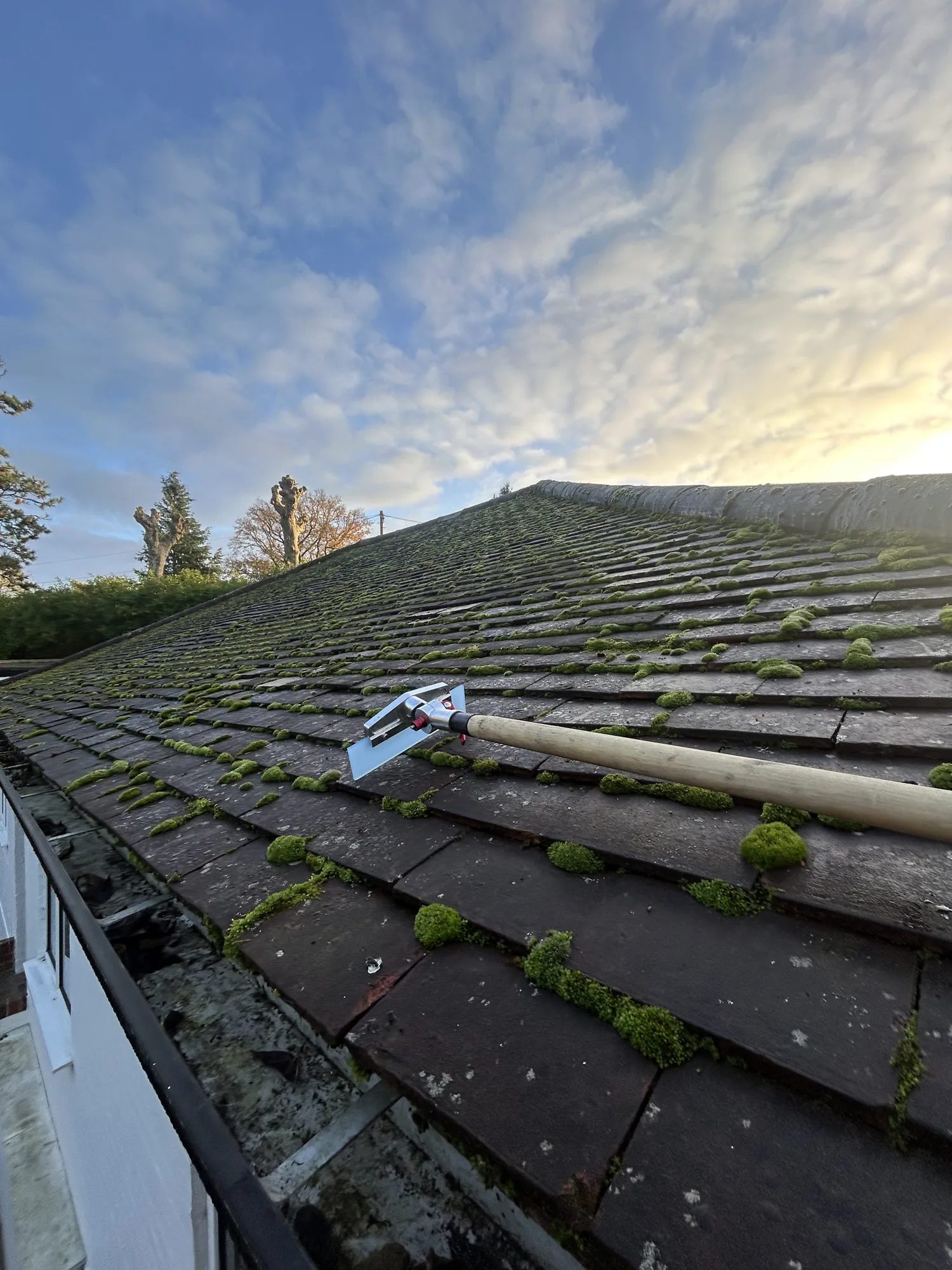 Soft washing a moss covered tiled roof in Hertfordshire