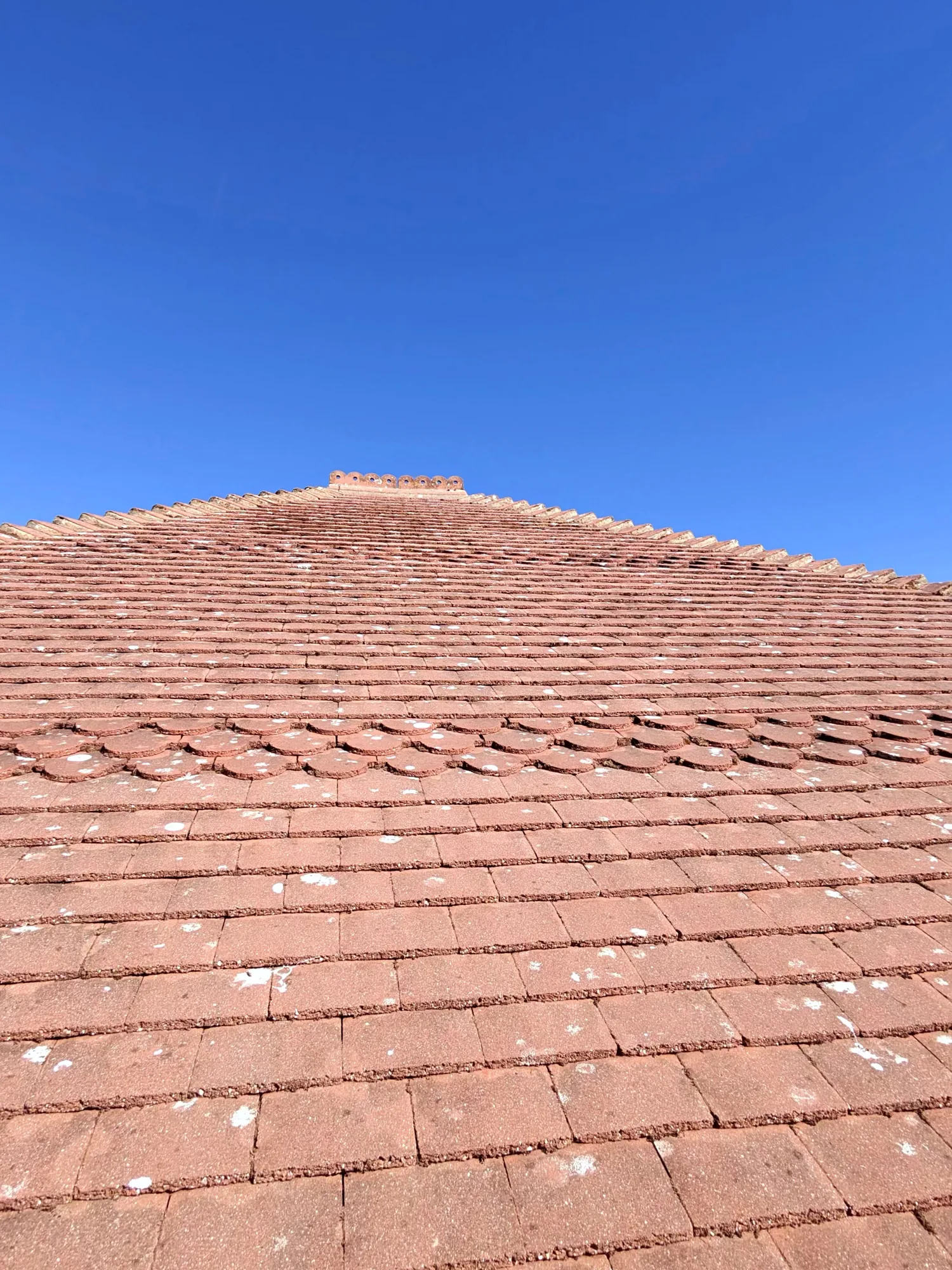 Freshly cleaned tiled roof after professional roof cleaning