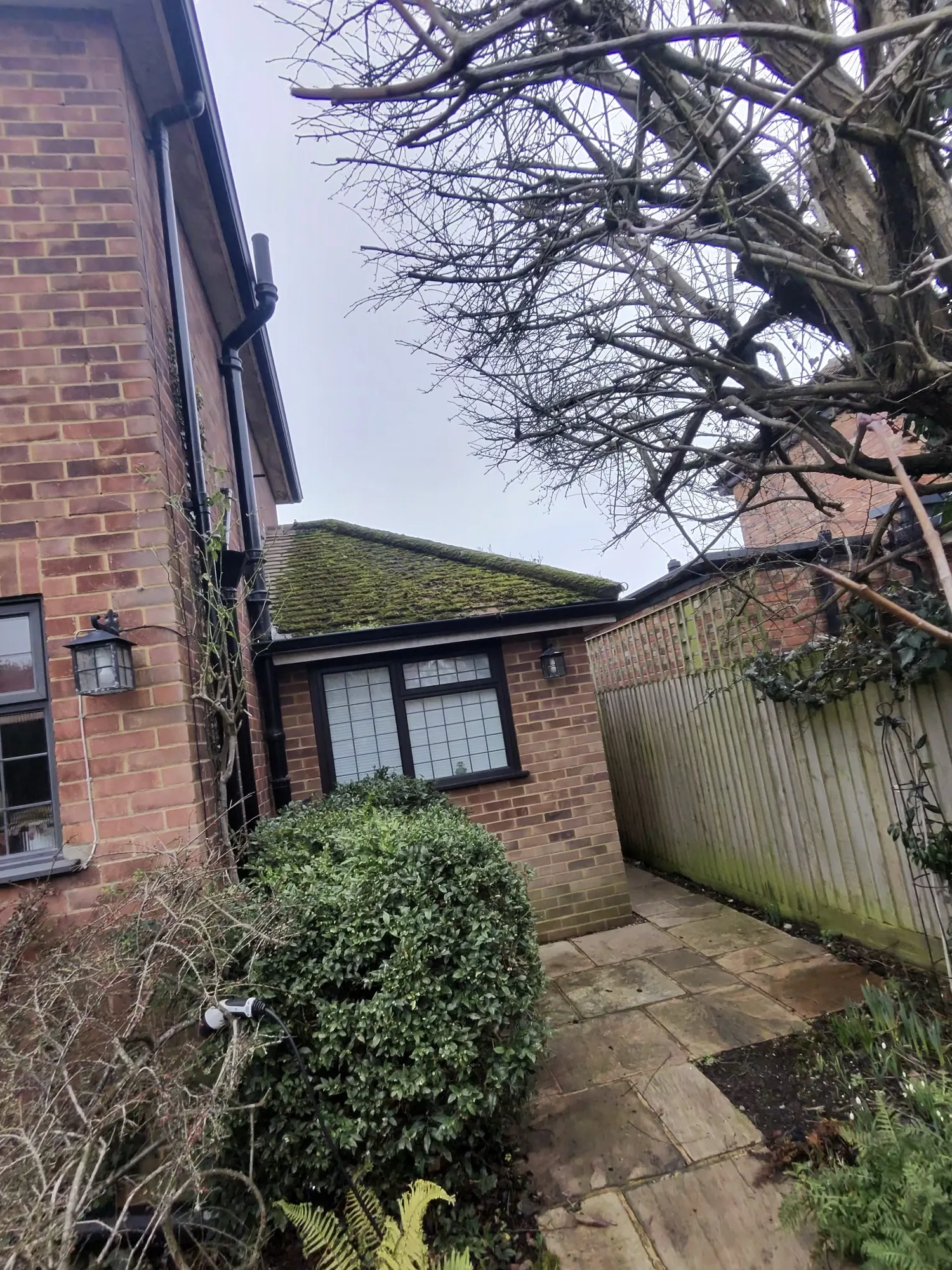 Moss covered roof before cleaning in Rickmansworth