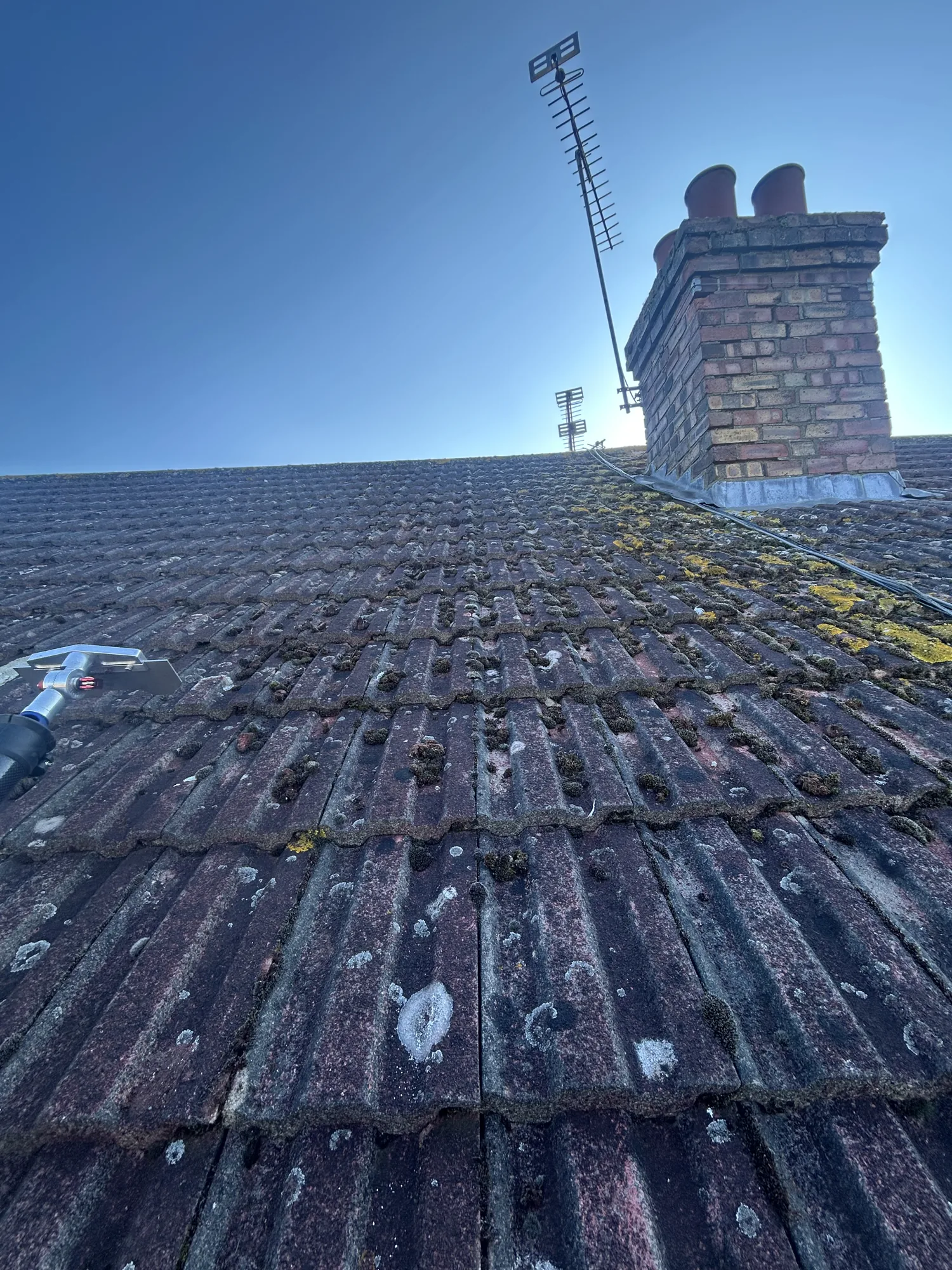 Heavy moss on a tiled roof before soft washing