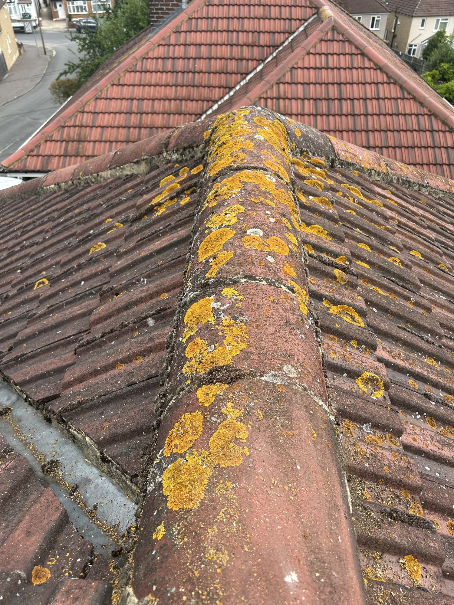 Lichen removal from a tiled roof ridge in Rickmansworth