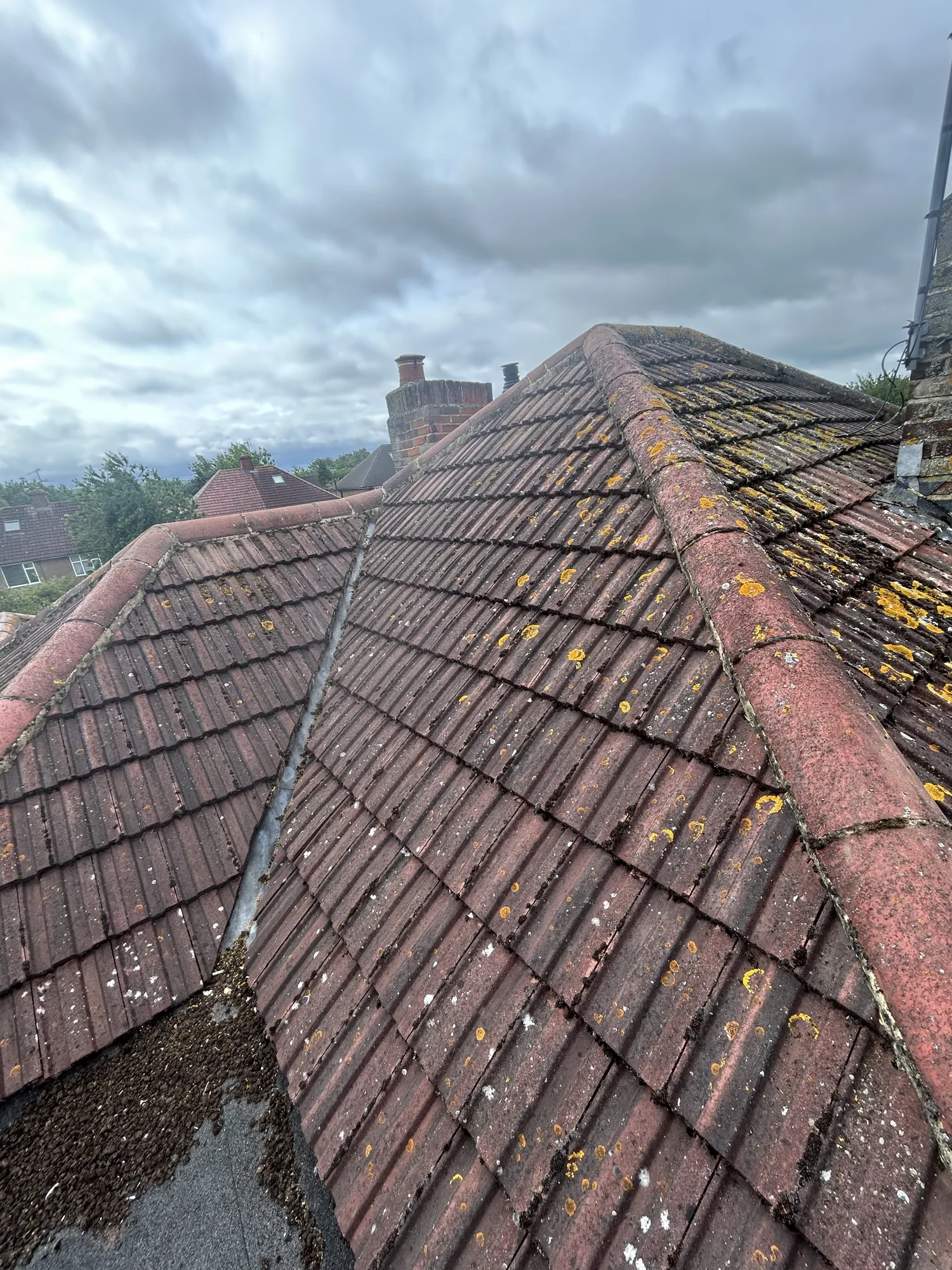 Tiled roof before moss and lichen treatment