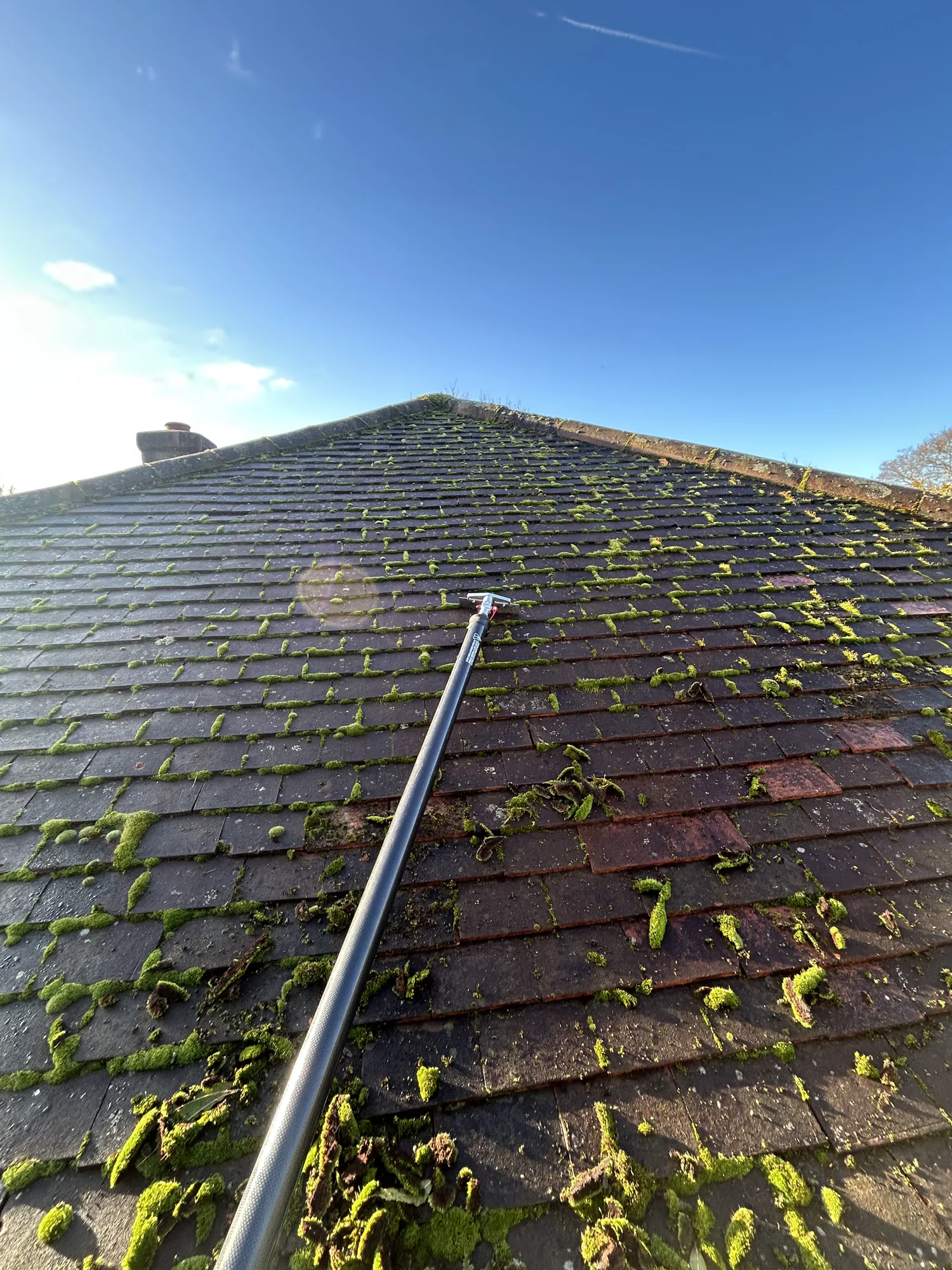 Soft washing moss from a tiled roof in Rickmansworth