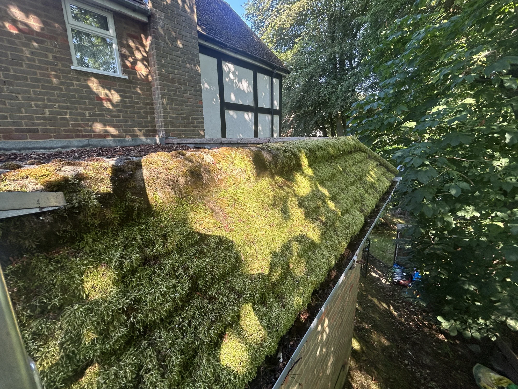 Thick moss removed from a roof in Rickmansworth