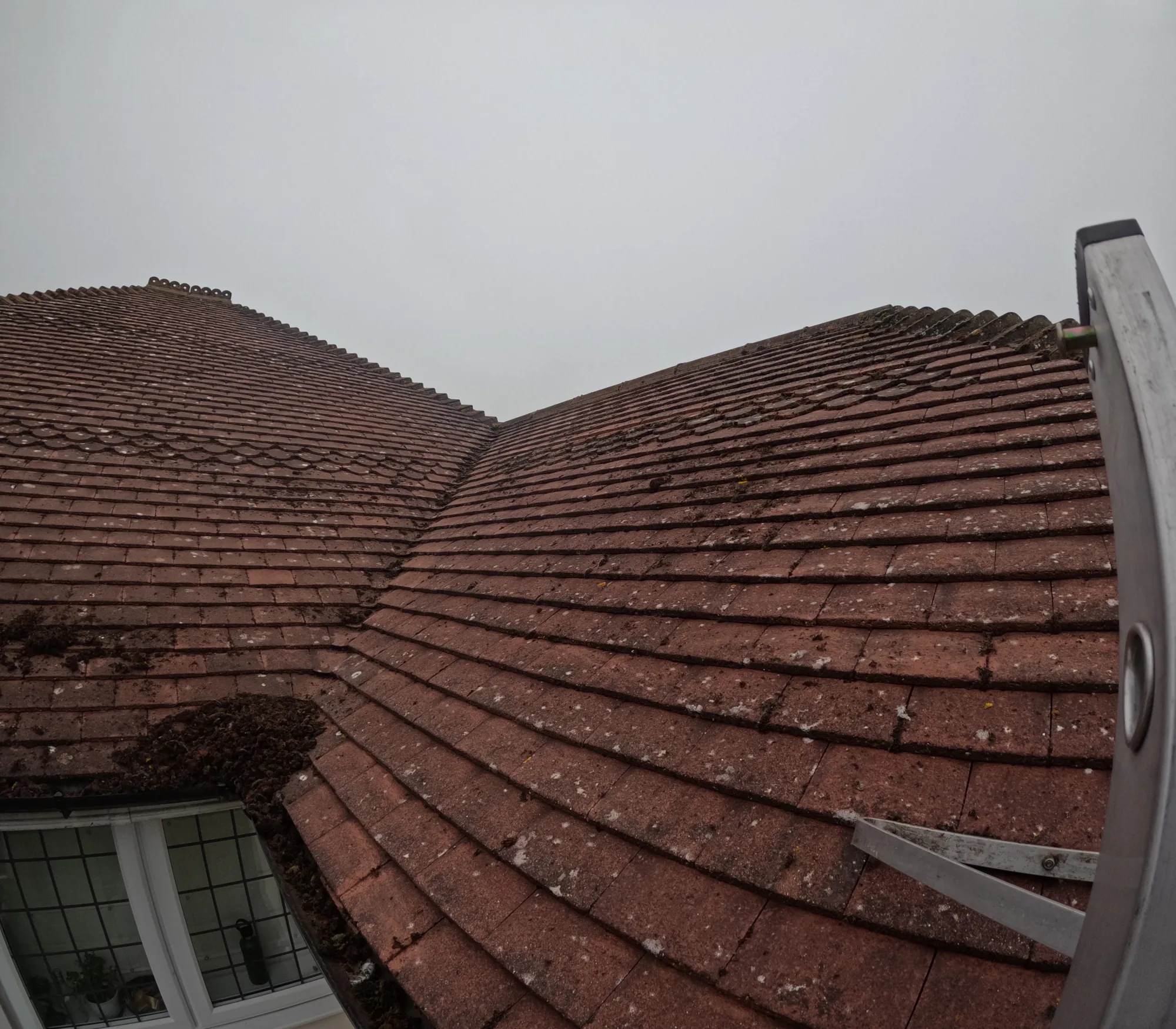 Moss covered hipped roof before cleaning