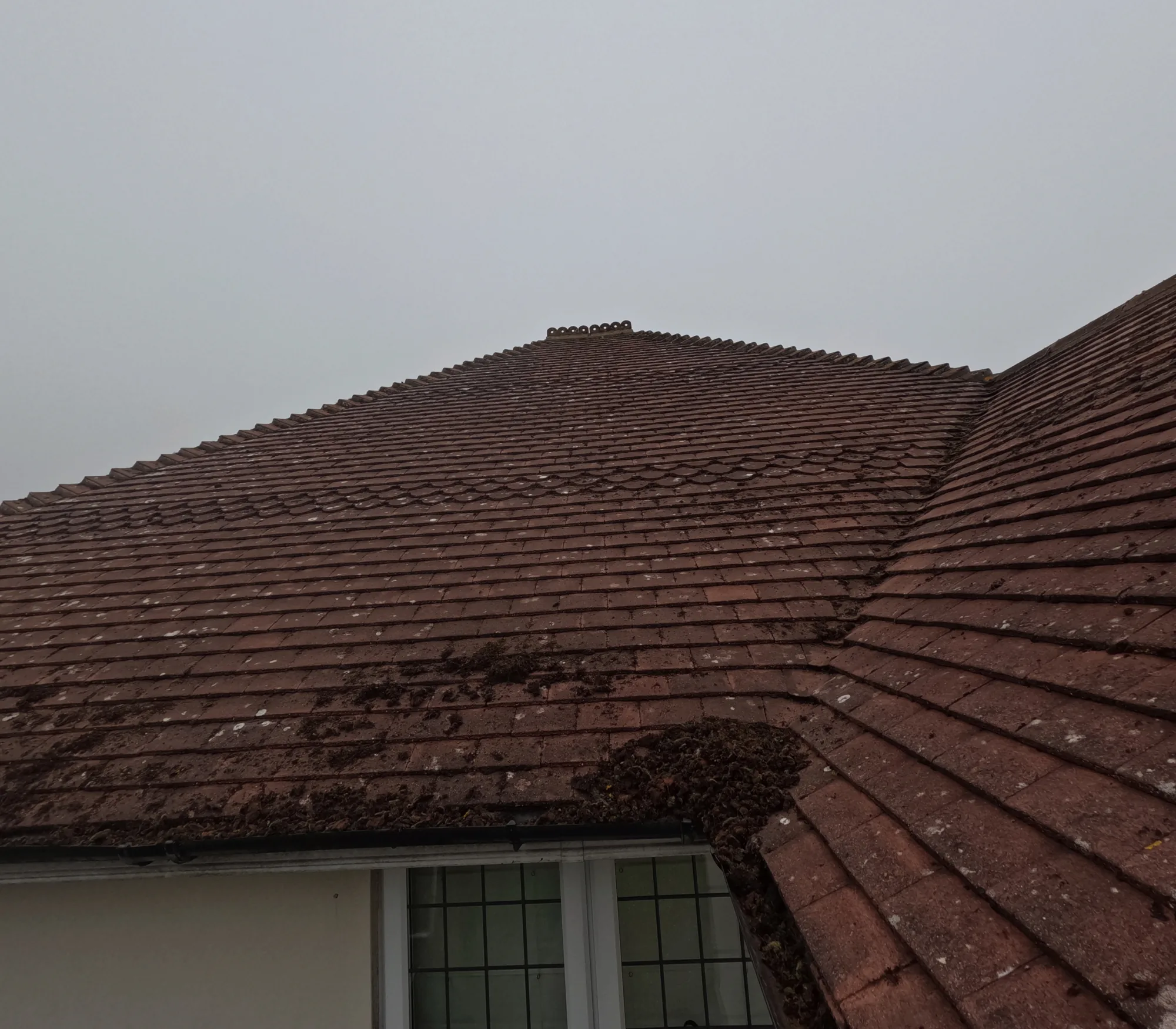Tiled roof before moss removal in Rickmansworth