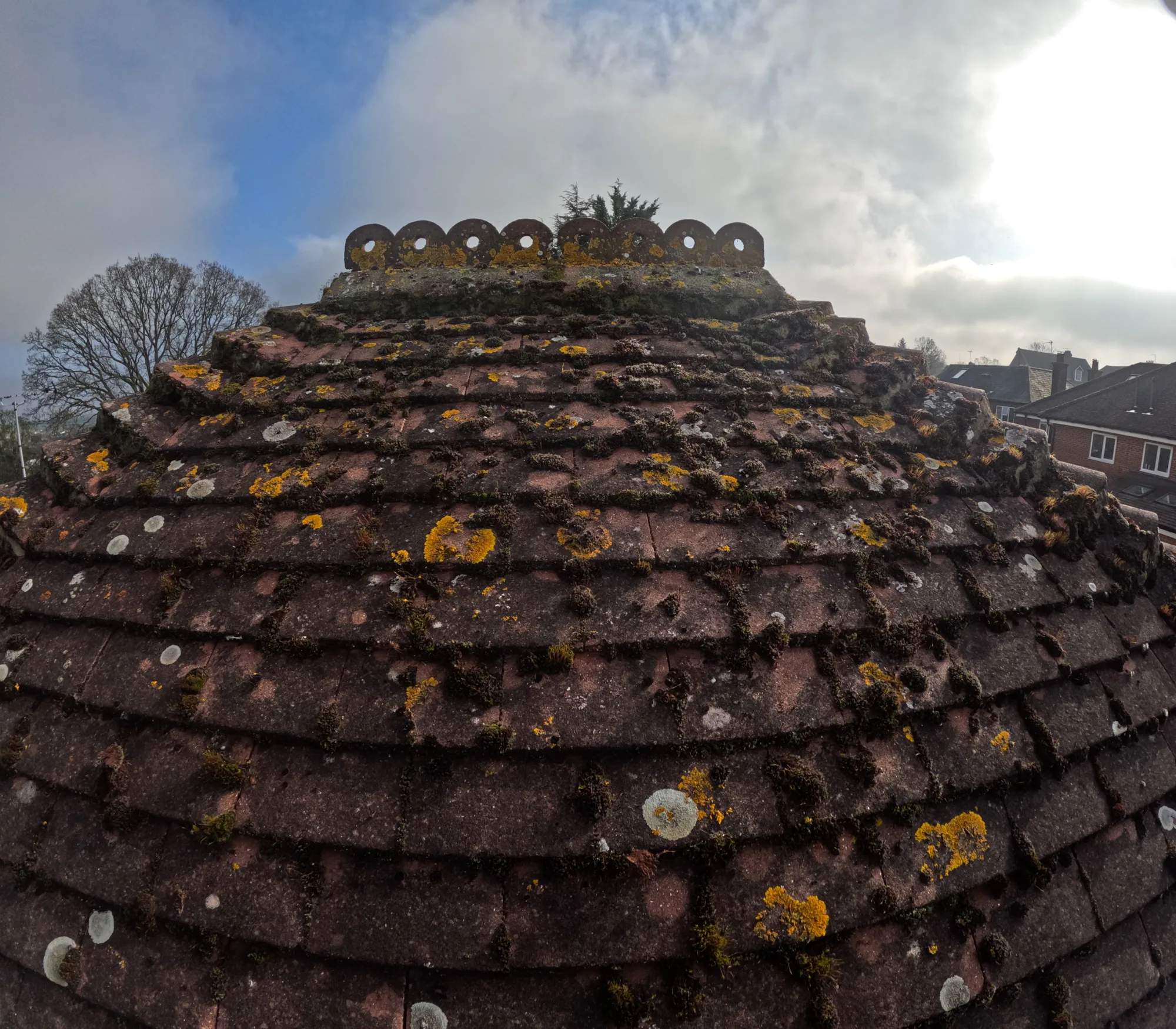 Moss and lichen on a turret roof before cleaning
