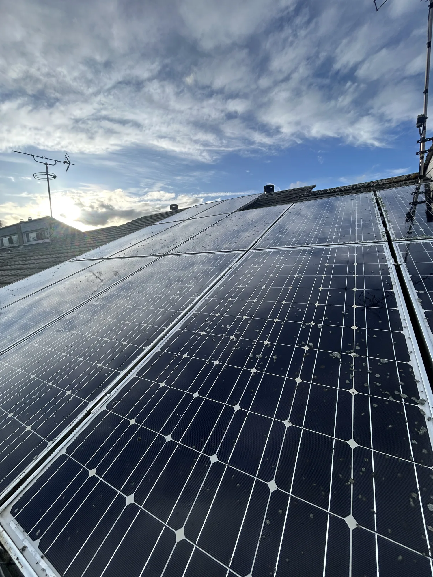 Lichen spotted solar panels catching low sun before cleaning