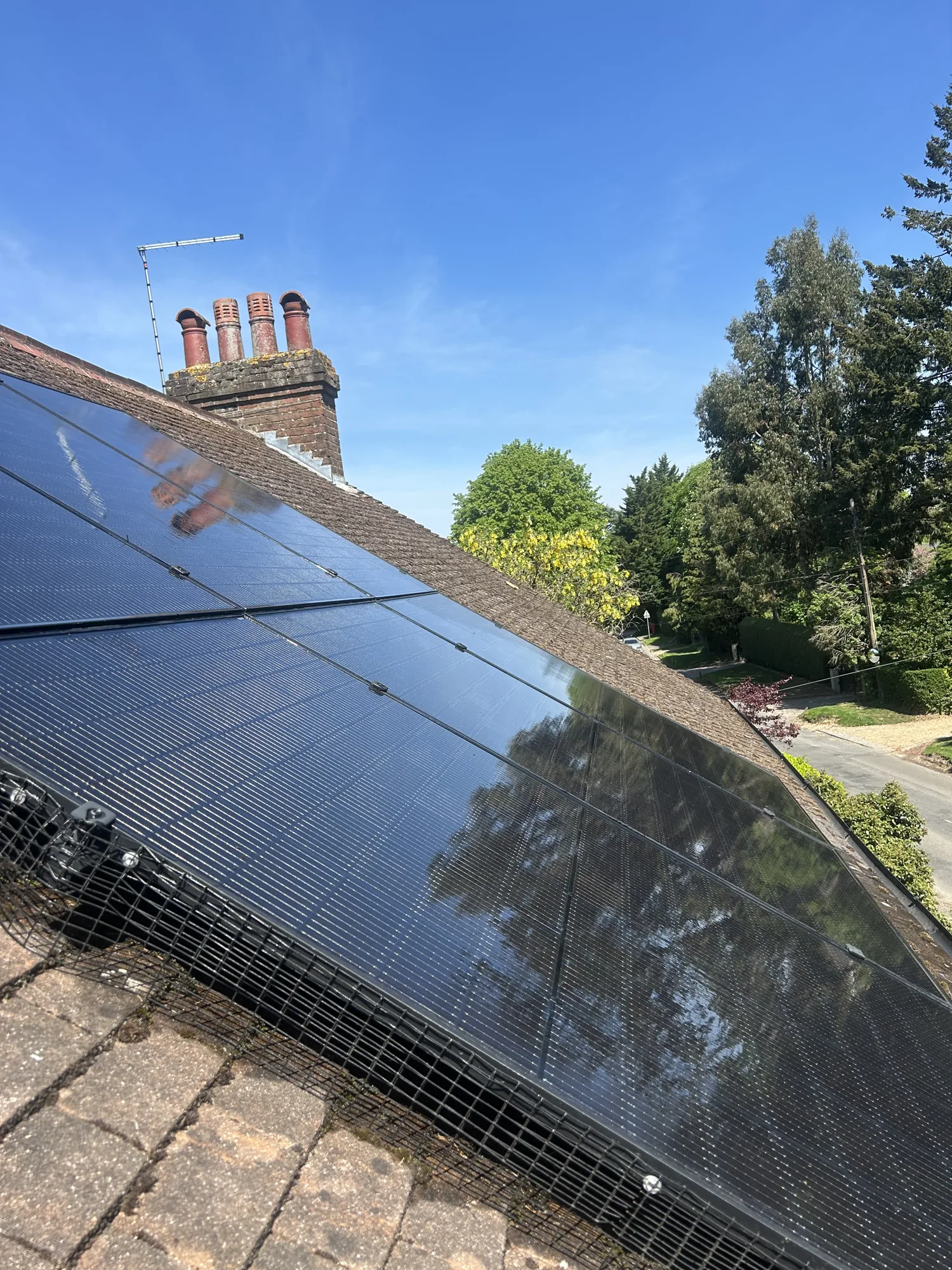 Cleaned black solar panels with pigeon proofing mesh on a roof